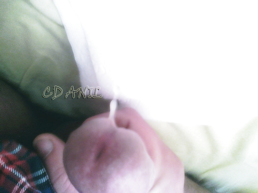 Cdanil #3588607