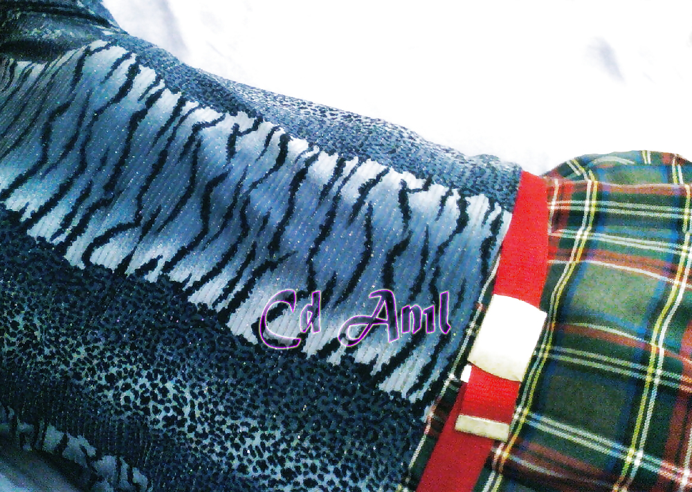 Cdanil #3589067