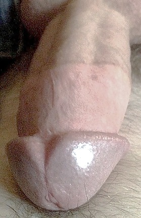 My Cock #20009997