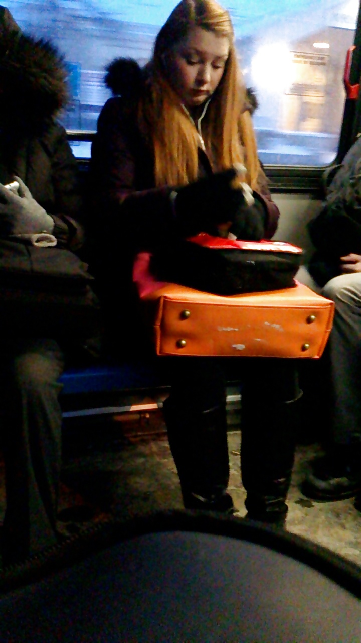 Voyeur - lovely ladies of public transit #22042393