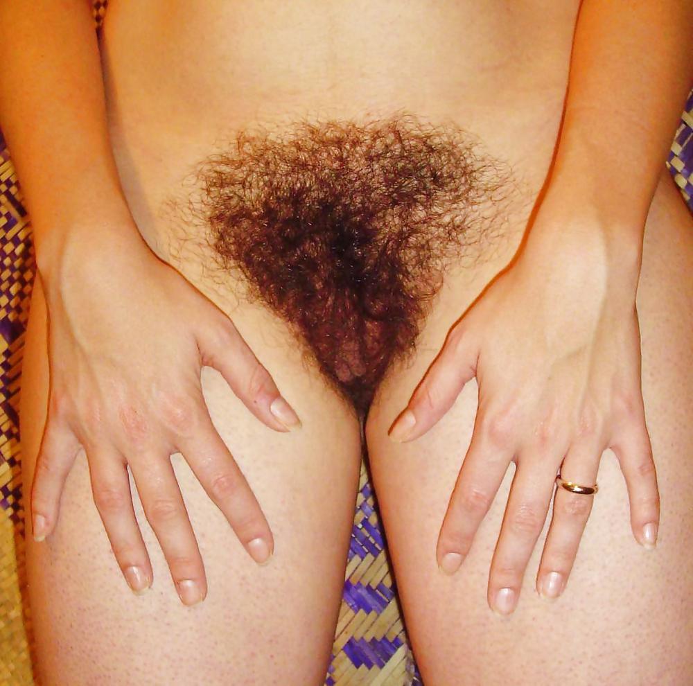 HAIRY AMATEUR 151 #3394809