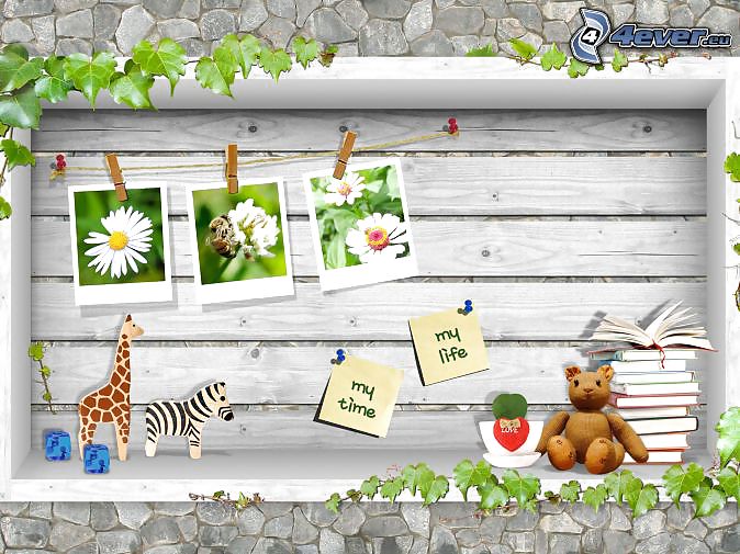 Sexy girl 1 #8322915