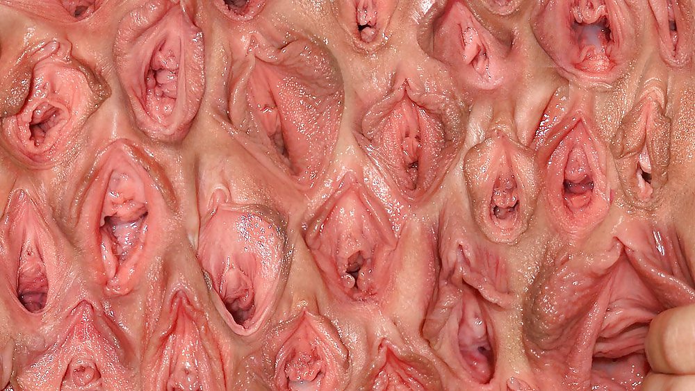 Wall of vagina #13604140