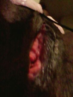 Tigger pic
 #12835030