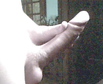 My dick #4210454