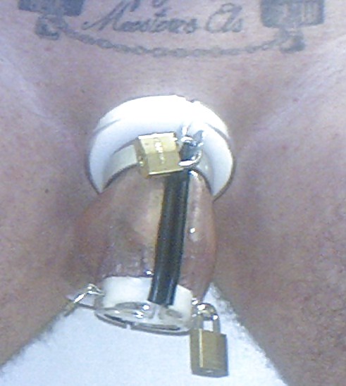 Tattoo end chastity #19903587