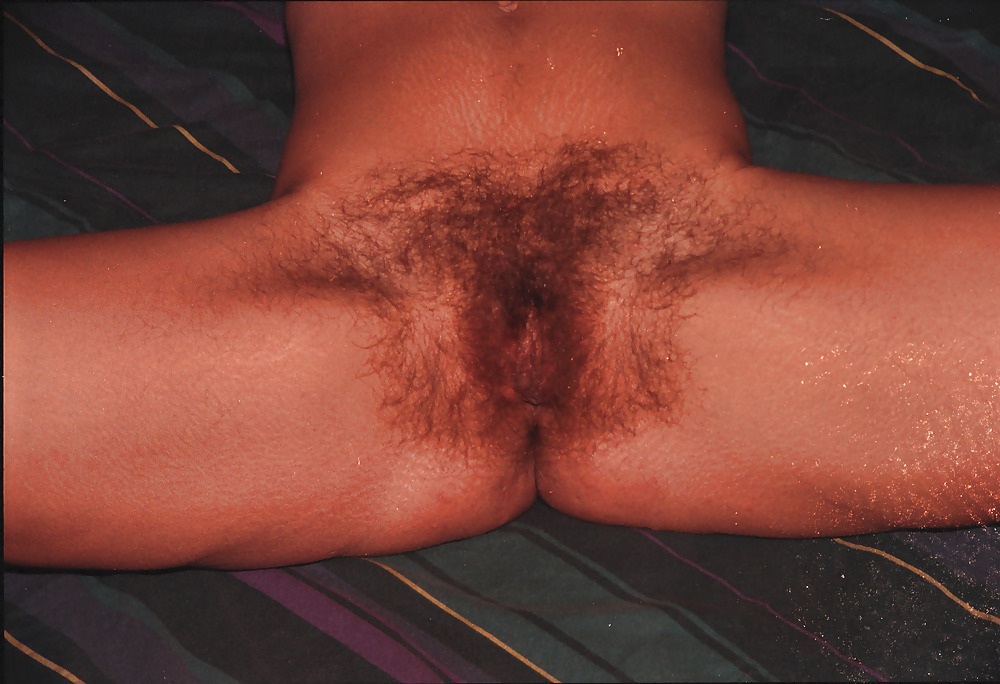 Big hairy bush #14575228