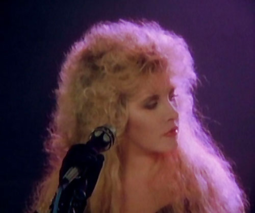 Stevie #13142991