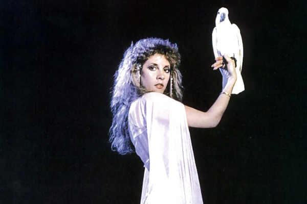 Stevie #13143078