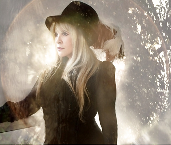 Stevie #13143095