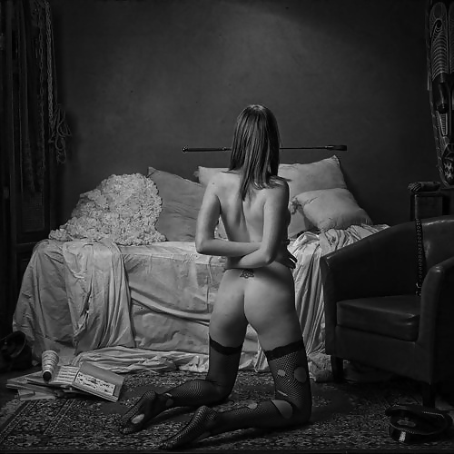 黒と白の691!
 #16825449