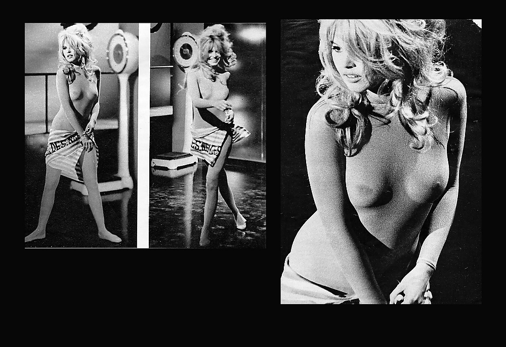 Breitbild-Layouts Brigitte Bardot #15889725