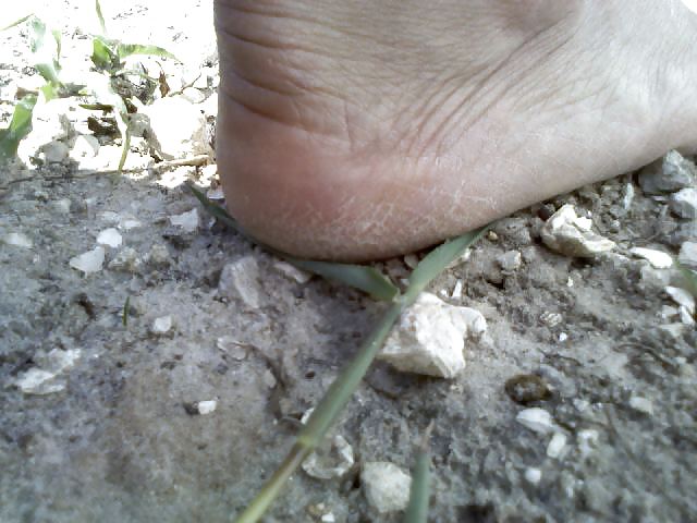 Piedi cubani 
 #9814037