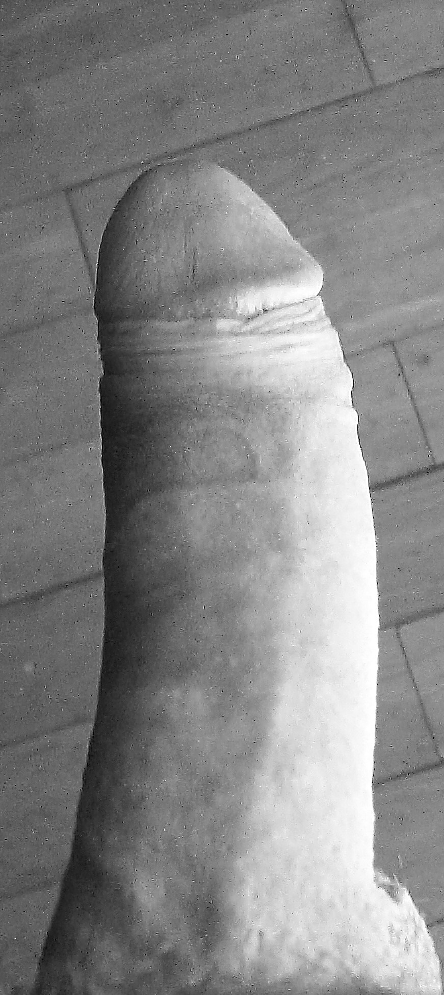 Soft and hard cock pics #492279