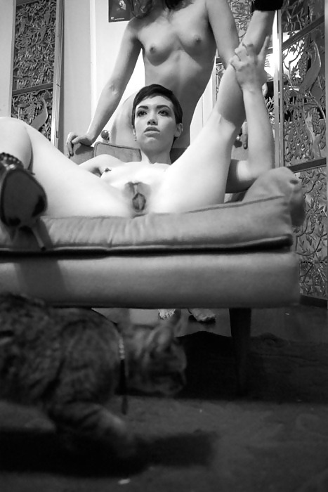 Erotic shots (lucy dominga) #4337154