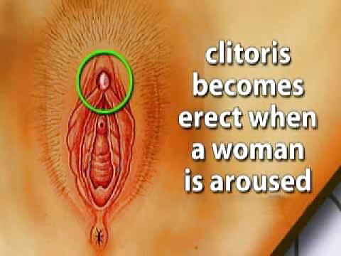 Klitoris #4746189