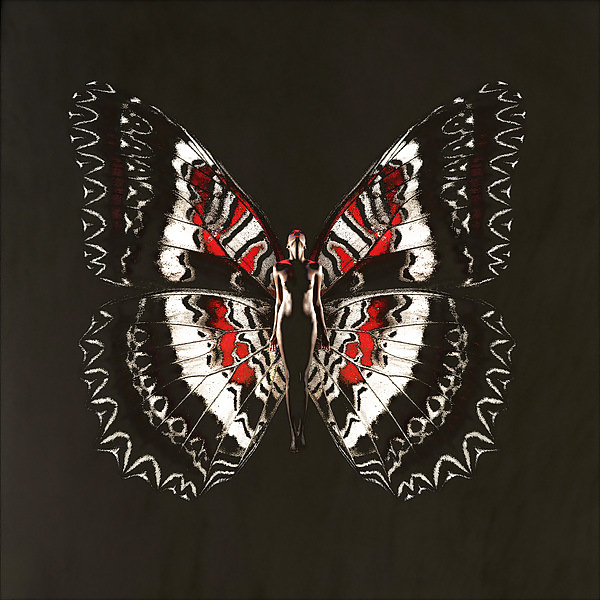 Psykhe con alas de mariposa 
 #17009013