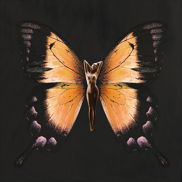 Psykhe con alas de mariposa 
 #17009022