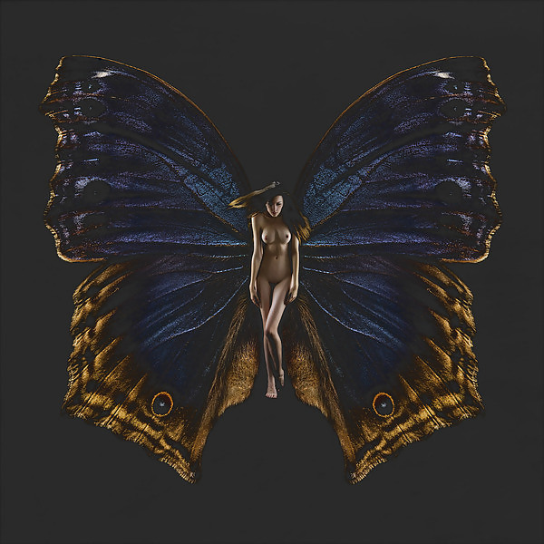 Psykhe con alas de mariposa 
 #17009024