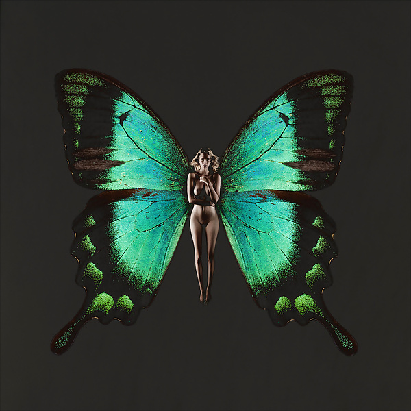 Psykhe con alas de mariposa 
 #17009045