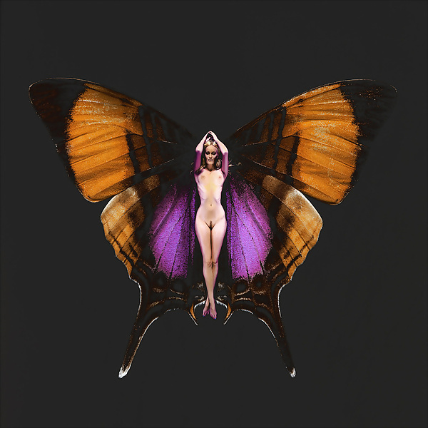 Butterfly-winged Psykhe  #17009073