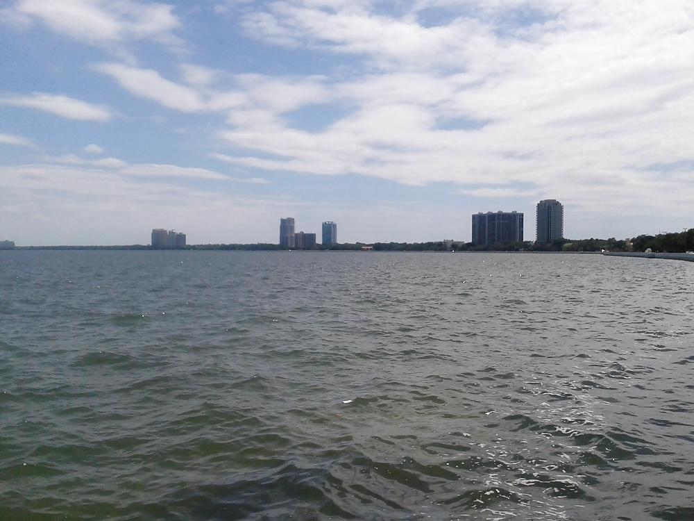 Ceci Est Clitlicker2014: Magnifique Baie Tampa, Floride #18640292