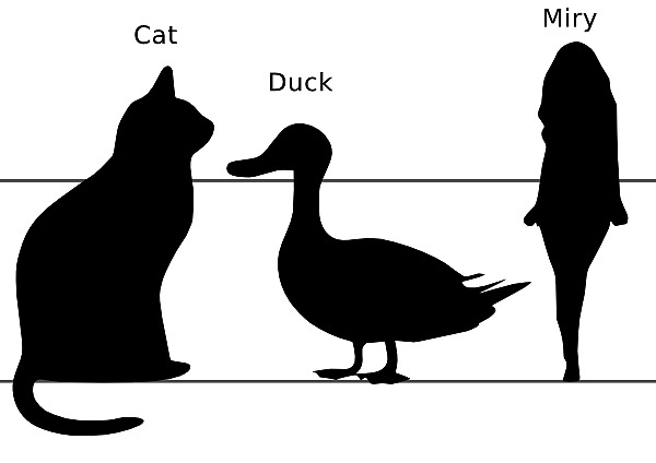 Mirys Duck and Cat #17696225