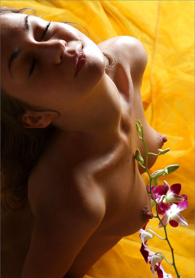 Angelica Anya #9512627