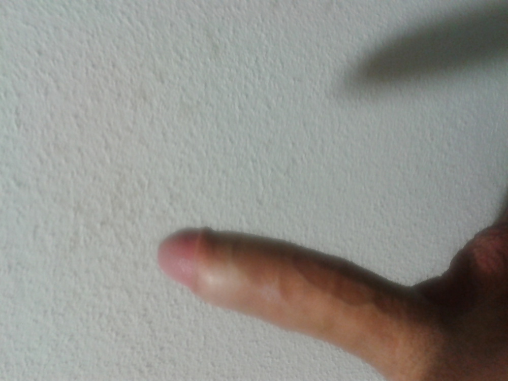 シュワンツ
 #21112448