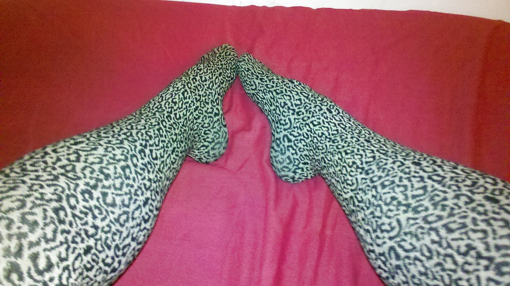 Leopardate #13429966