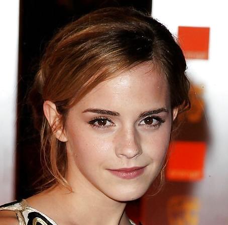 Excellent Emma Watson Fakes Part 3 #21072208