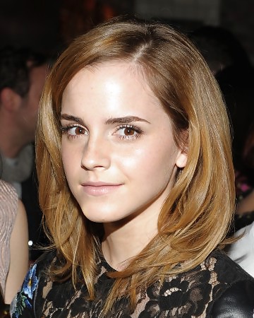 Excellent Emma Watson Fakes Part 3 #21072395