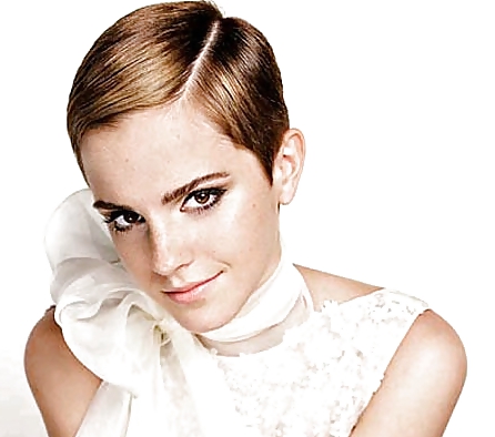 Excellent Emma Watson Fakes Part 3 #21072722