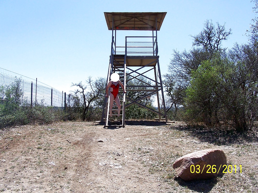 More Roadside Park FUN #3218839