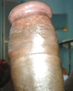 My horny dick #3462823