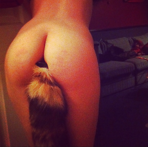 Colas de mascotas 14
 #16592398