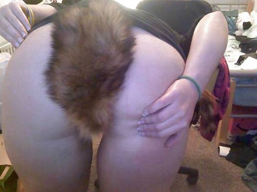 Colas de mascotas 14
 #16592401