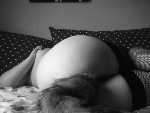 Colas de mascotas 14
 #16592423