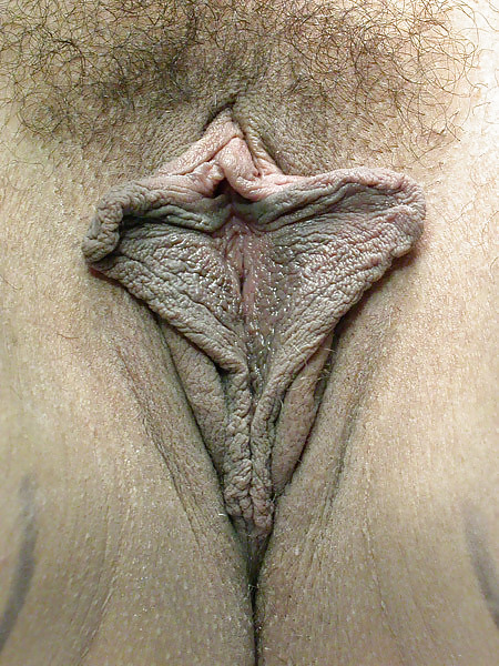 Pussy closeup #8834457