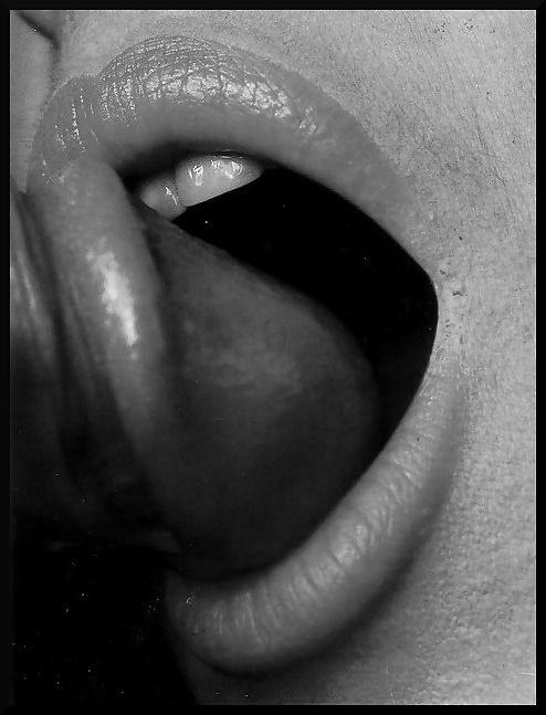 Voracity #22672458