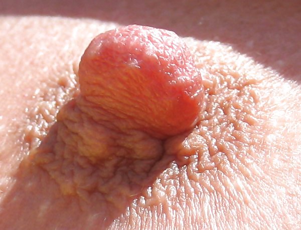 Close up #16065898