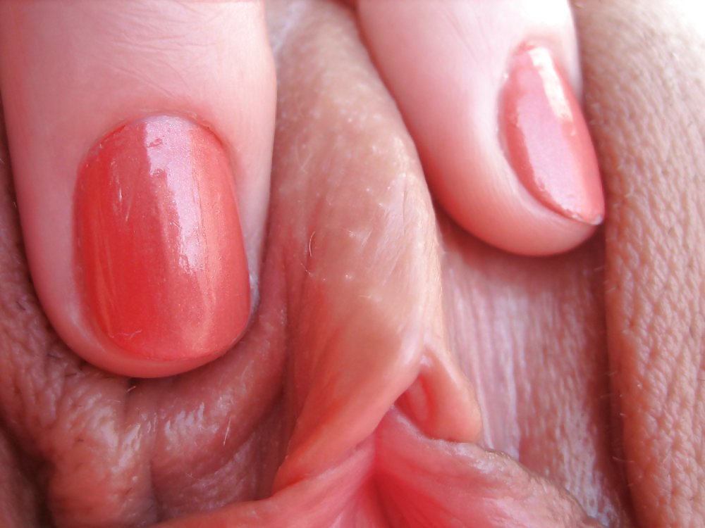 Close up #16065929