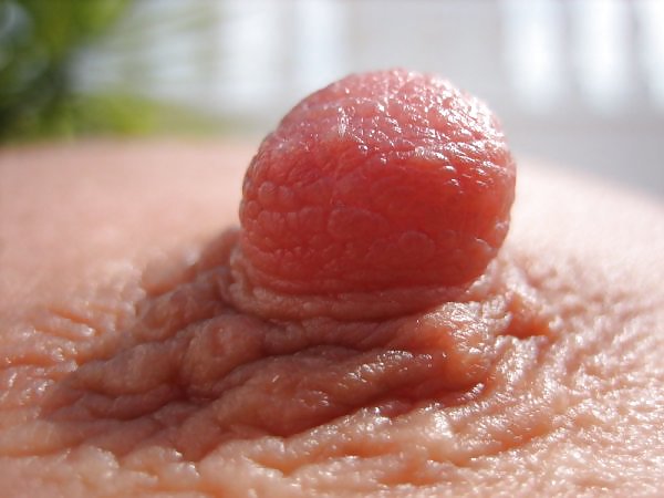 Close up #16065987