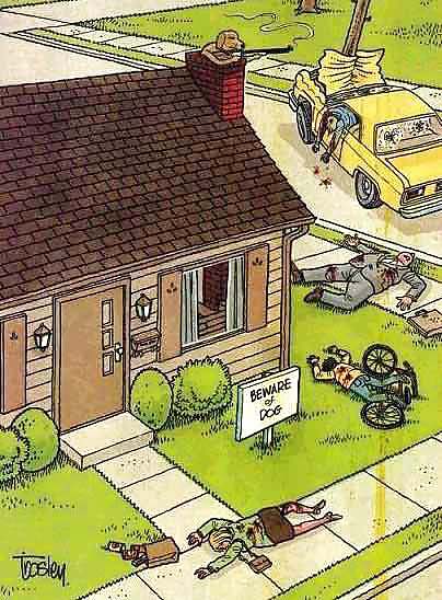 Funny Pics II #3386252