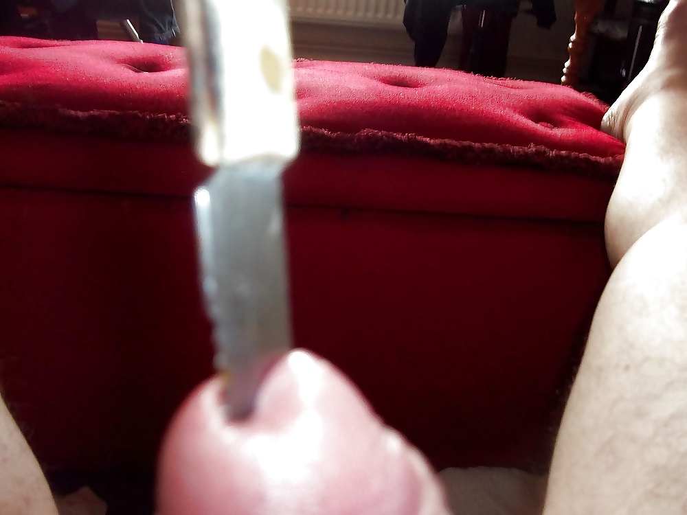 Polla sonando
 #11528239