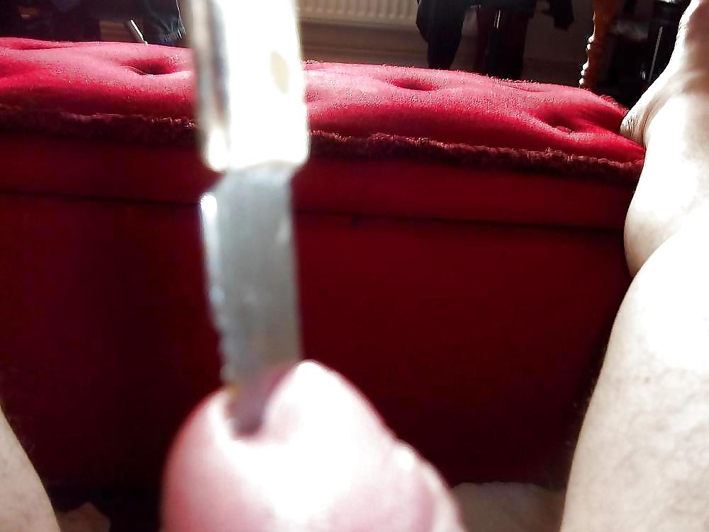 Polla sonando
 #11528257