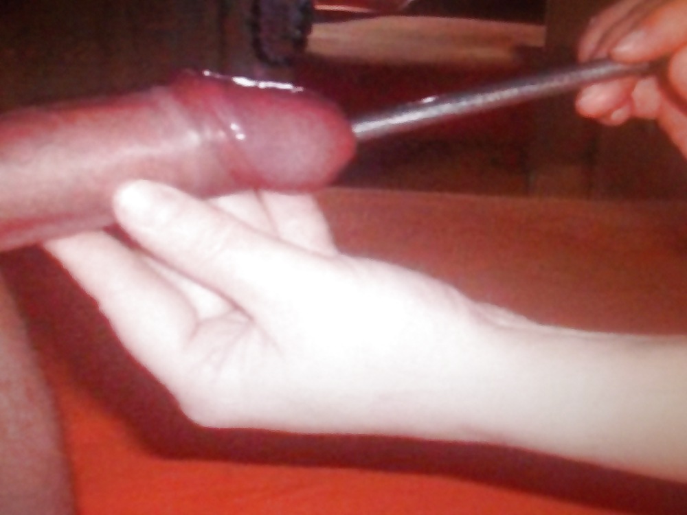 Polla sonando
 #11528272