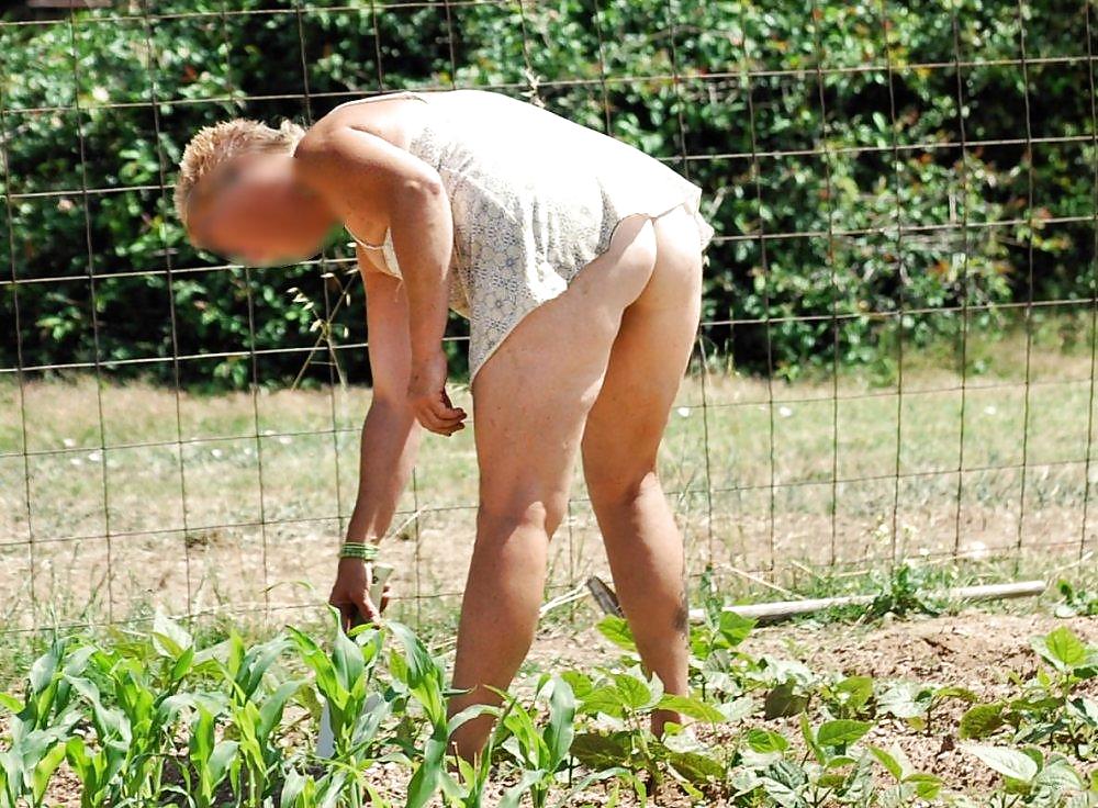 Voisine coquine #4036801