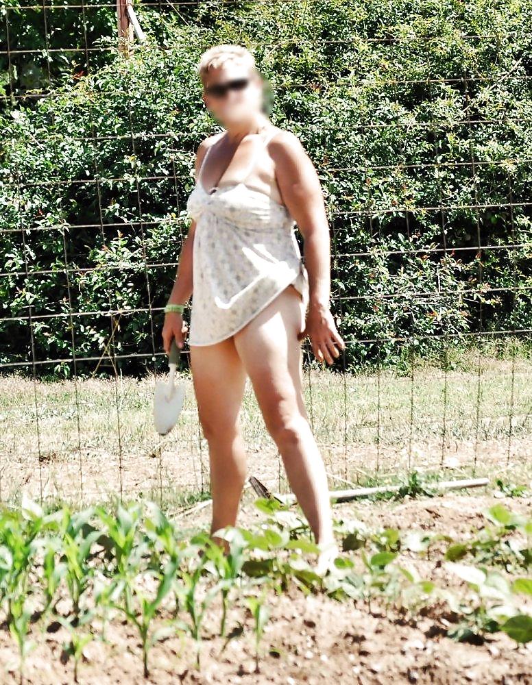 Voisine coquine #4036825