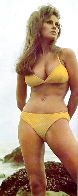 Raquel Welch Sexy Classique #19747747